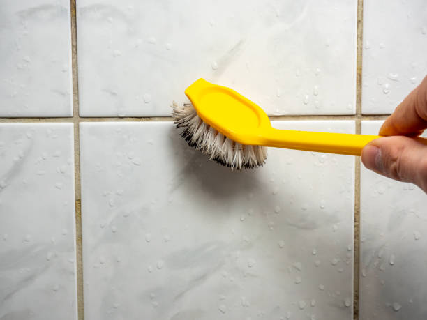 Mold Removal Process in Cherokee, IA