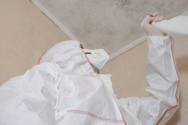 Best Residential Mold Removal  in Cherokee, IA