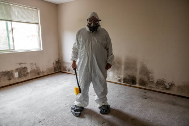 Best Fast Mold Removal  in Cherokee, IA